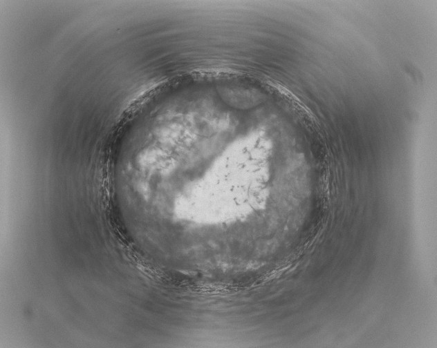 X0000115410870200912011223