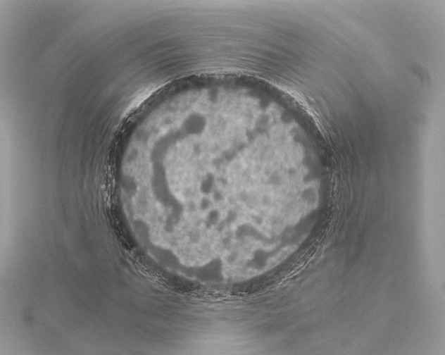 X0000115410871200912011223