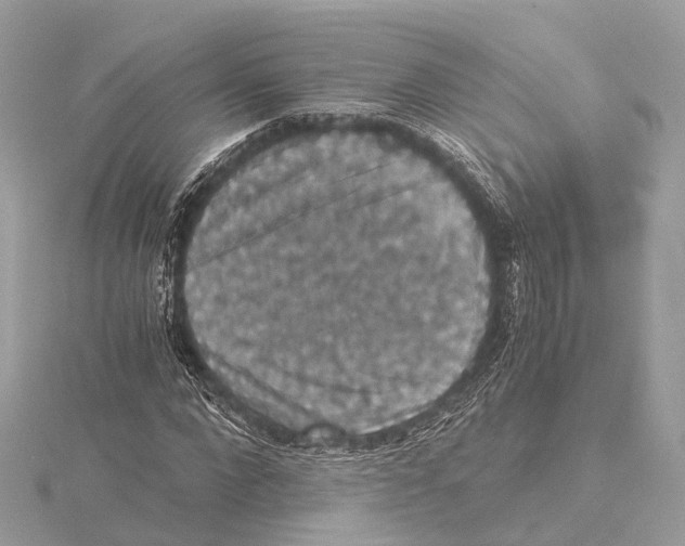 X0000115410872200912011223