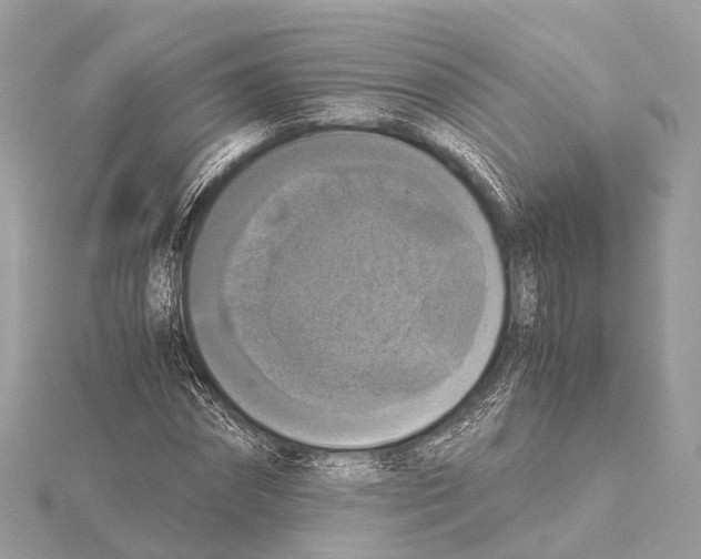 X0000115410874200912011223