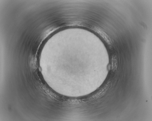 X0000115410876200912011223