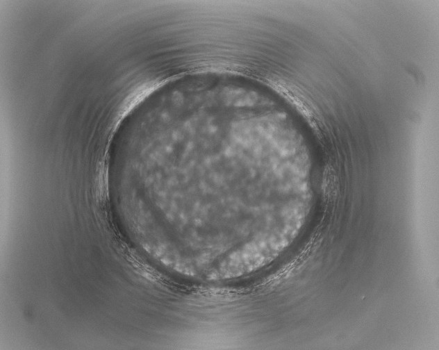 X0000115410877200912011223