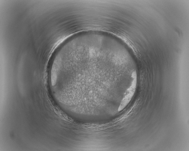 X0000115410879200912011223