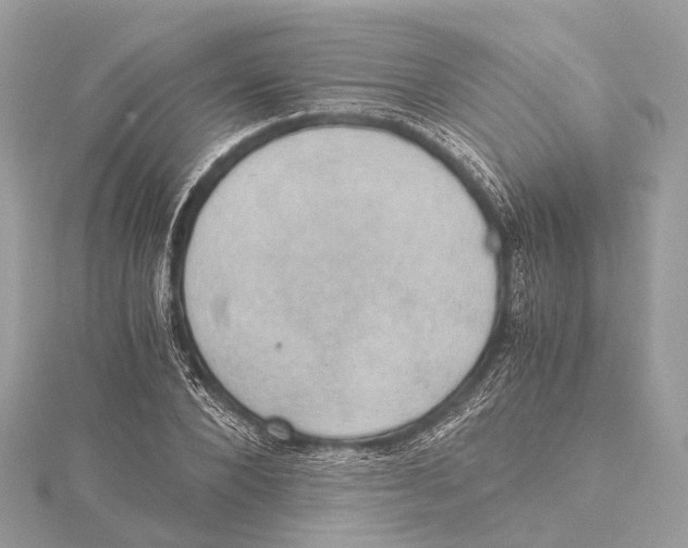 X0000115410880200912011223