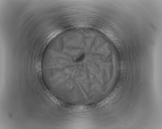 X0000115410881200912011223