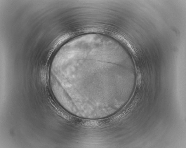 X0000115410882200912011223