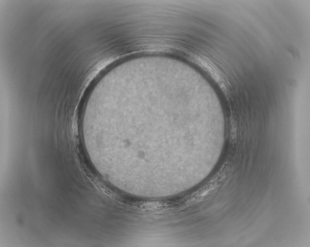 X0000115410883200912011223