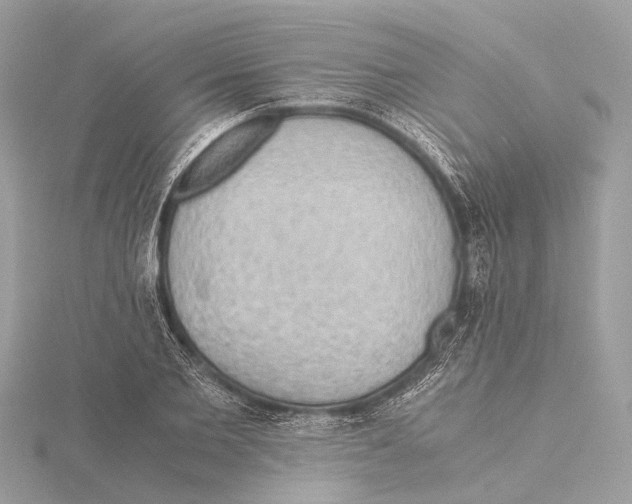 X0000115410885200912011223