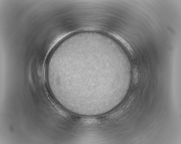 X0000115410886200912011223