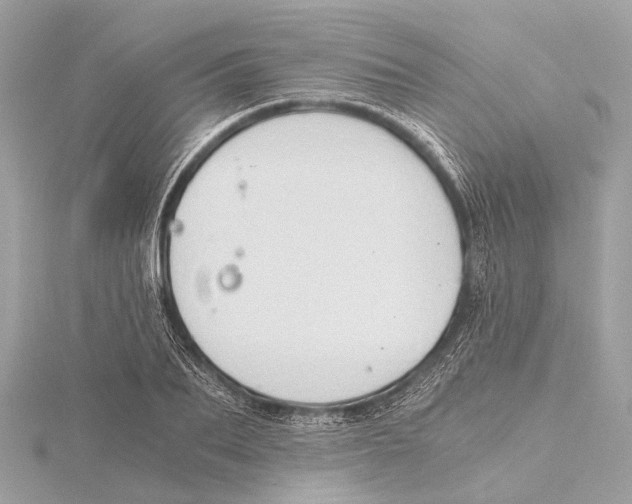 X0000115410887200912011223