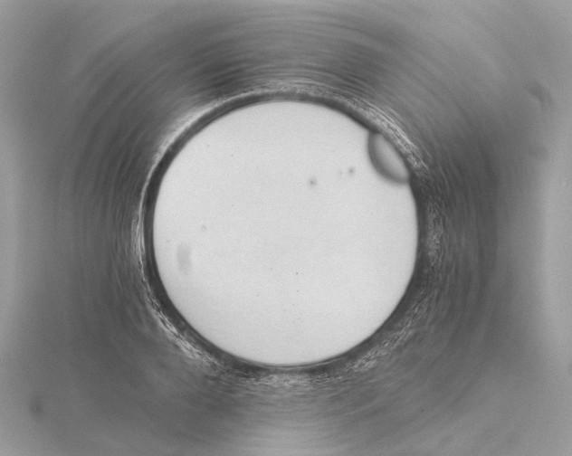 X0000115410888200912011223