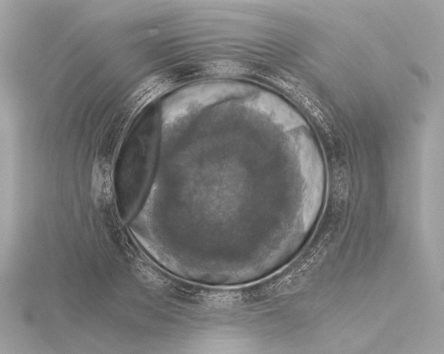 X0000115410889200912011223