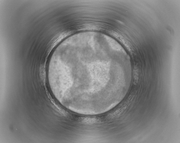 X0000115410890200912011223