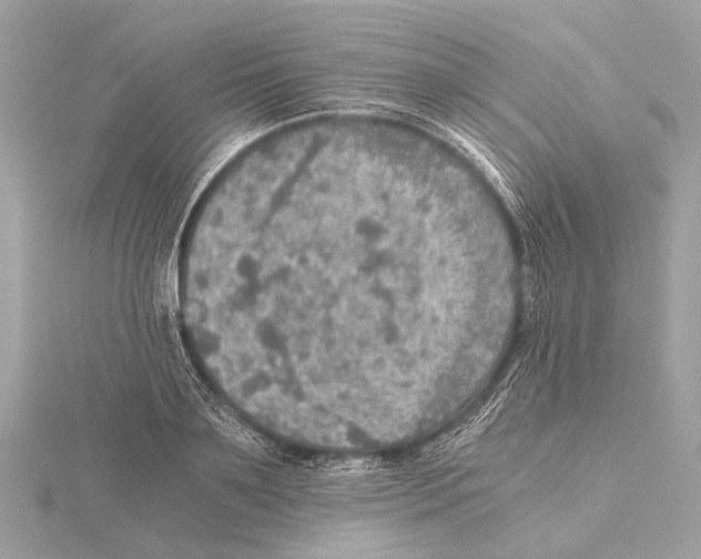 X0000115410891200912011223