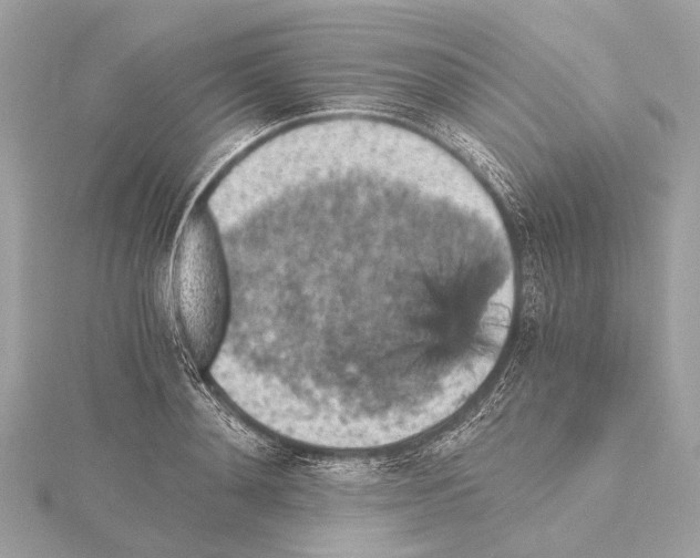 X0000115410892200912011223