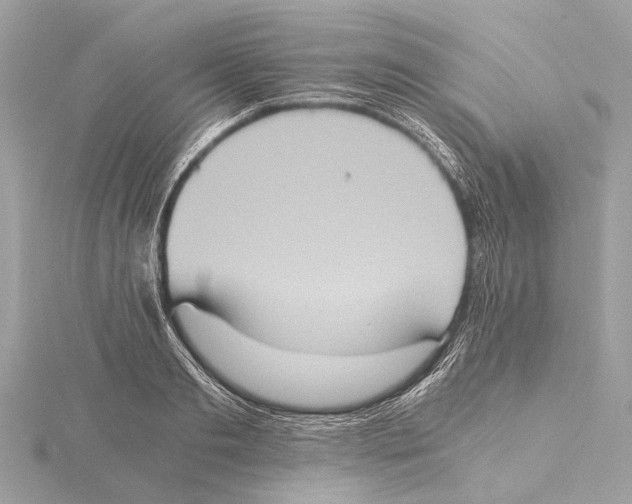 X0000115410893200912011223