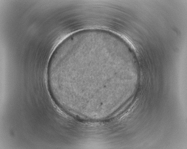 X0000115410895200912011223