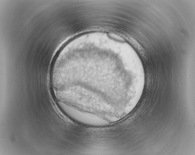 X0000115410896200912011223