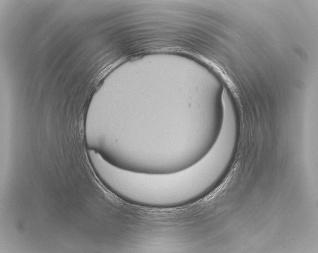 X0000115410897200912011223