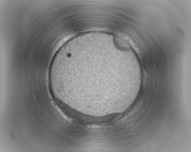 X0000115410898200912011223