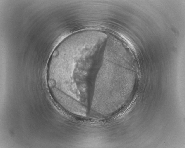 X0000115410899200912011223