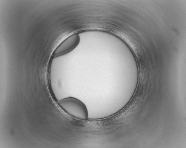 X0000115410901200912011223