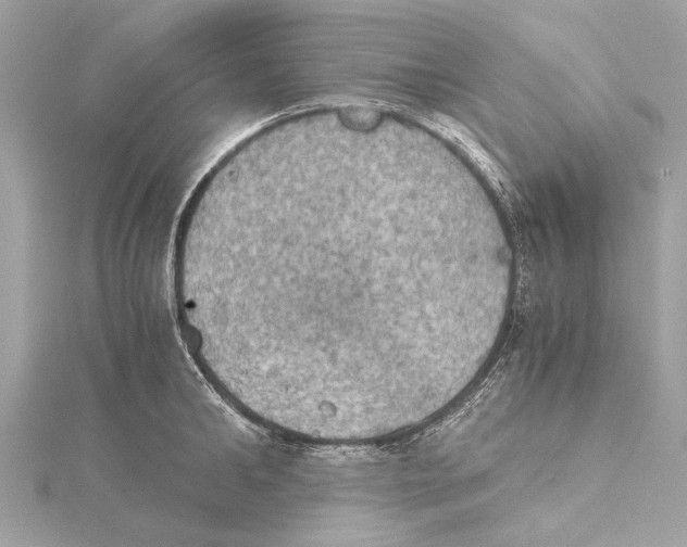 X0000115410902200912011223