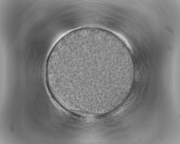 X0000115410903200912011223