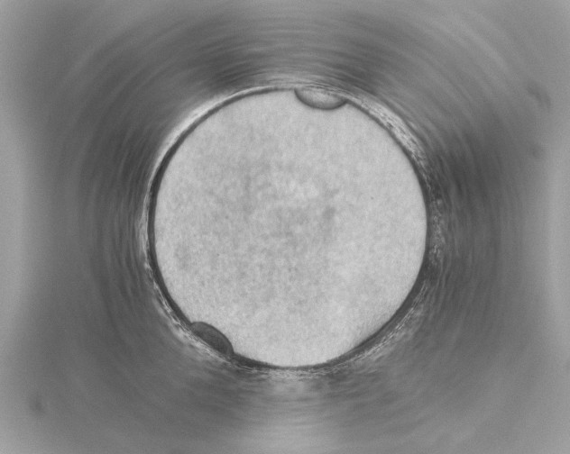 X0000115410904200912011223