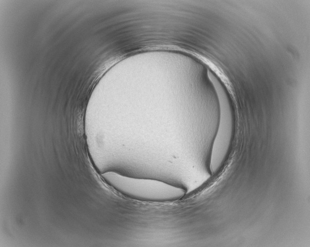 X0000115410905200912011223