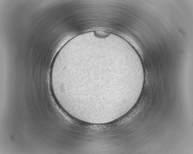 X0000115410906200912011223