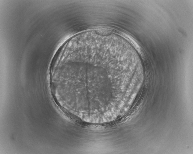 X0000115410907200912011223