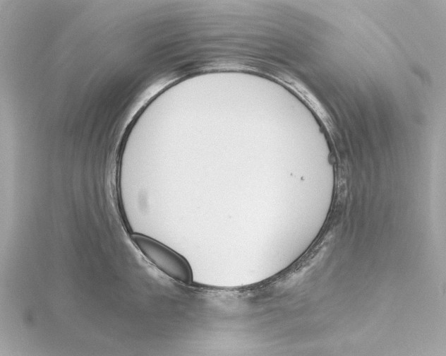 X0000115410909200912011223