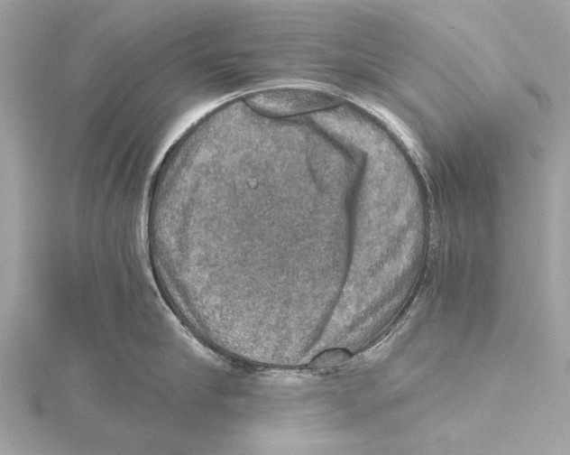 X0000115410910200912011223