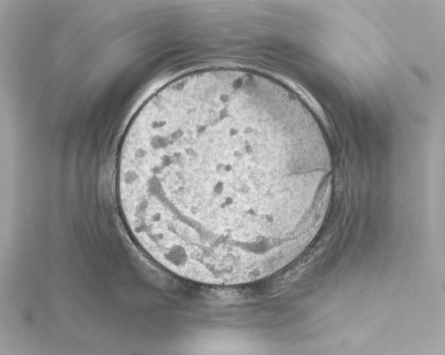 X0000115410911200912011223