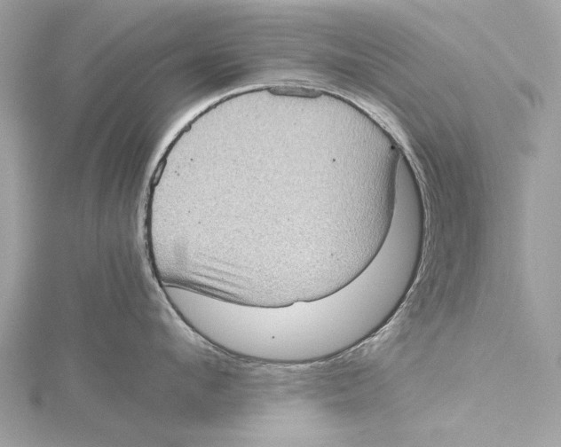 X0000115410912200912011223