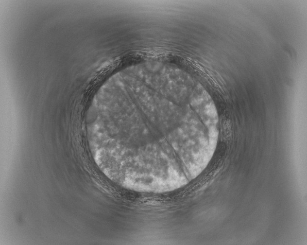 X0000115410913200912011222