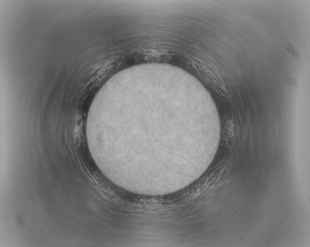 X0000115410914200912011222