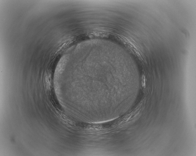 X0000115410915200912011222