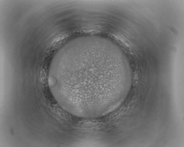 X0000115410917200912011222