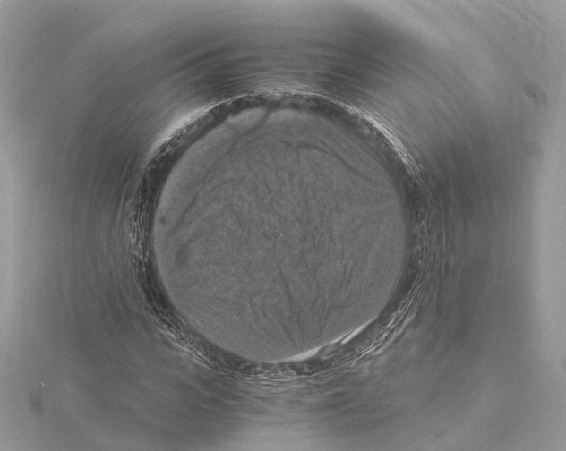 X0000115410919200912011222