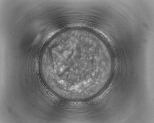 X0000115410921200912011222