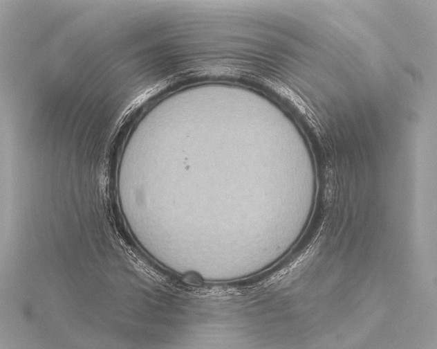 X0000115410922200912011222