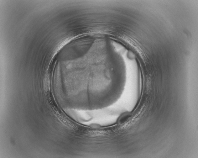 X0000115410925200912011222