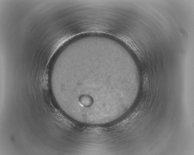 X0000115410926200912011222