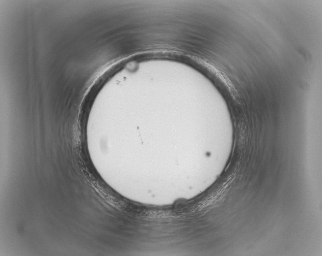 X0000115410927200912011222