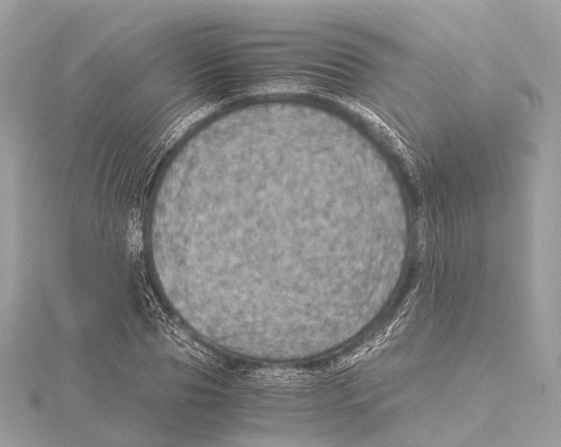 X0000115410929200912011222