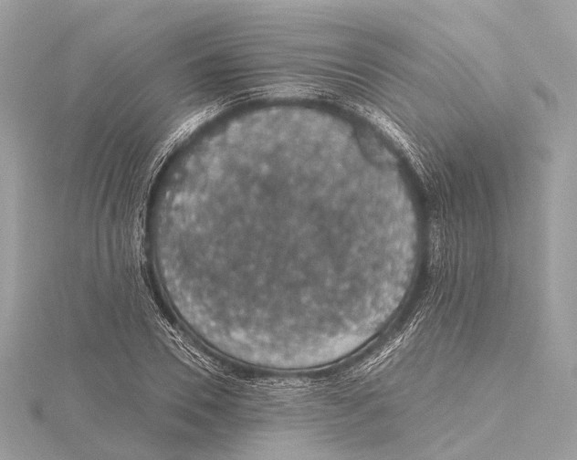 X0000115410930200912011222