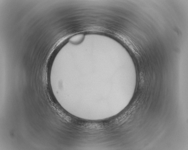 X0000115410931200912011222