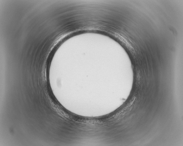 X0000115410934200912011222